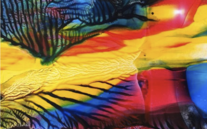 Kyo, Limited edition 1 /25, 2021, high quality print on white opal acrylic, 103 x 130 cm