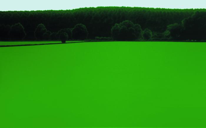 Senza titolo, 2005 olio su tela, cm 135x220