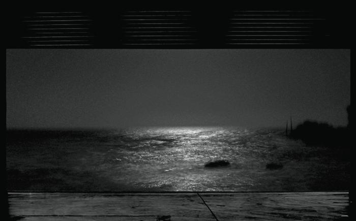 Don’t ask me ask yourself, 2011, 1/2 stampe digitali, cm 150x265 cad.