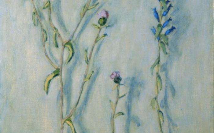 Fiori di campo n. 2, ca. 1955