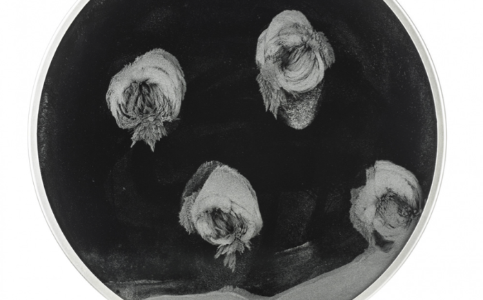 Superficie magnetica, 1965, scultura in allumio, vetro, polvere di ferro, 30x32 cm
