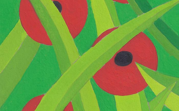 Fiore nascondini perché c'è la guerra