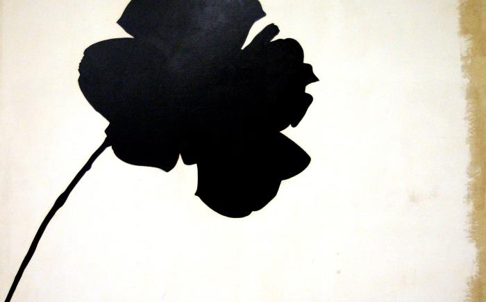 Senza titolo (rosa nera)