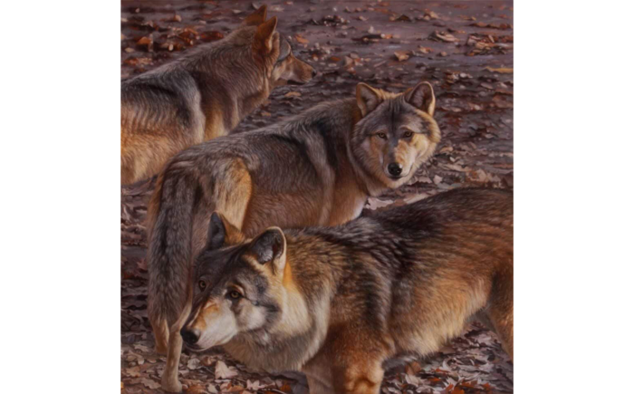 Alpha, 2019, olio su tela