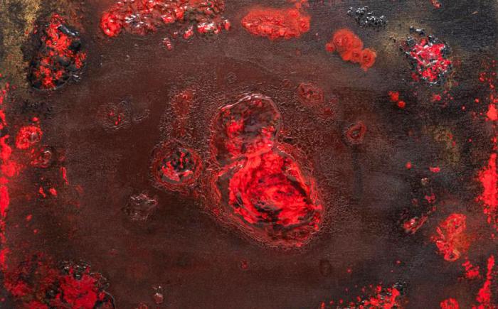 Red Monad N.2, 2024, acrilico su tela, tecnica mista 100x80 cm