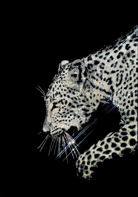 Silently, 2022, 21800 swarovski crystals su plexiglas, 70 x 100 cm