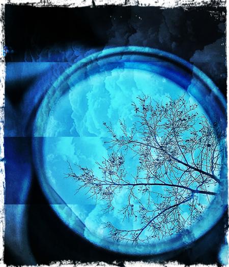 Reflections in the mirror, 2021