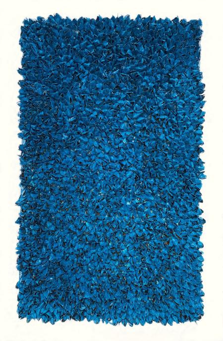 Pavone, 2023, tecnica mista su tela 60x100 cm in teca di plexiglas 72x112 cm